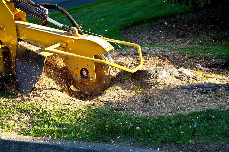 stump grinding in my area